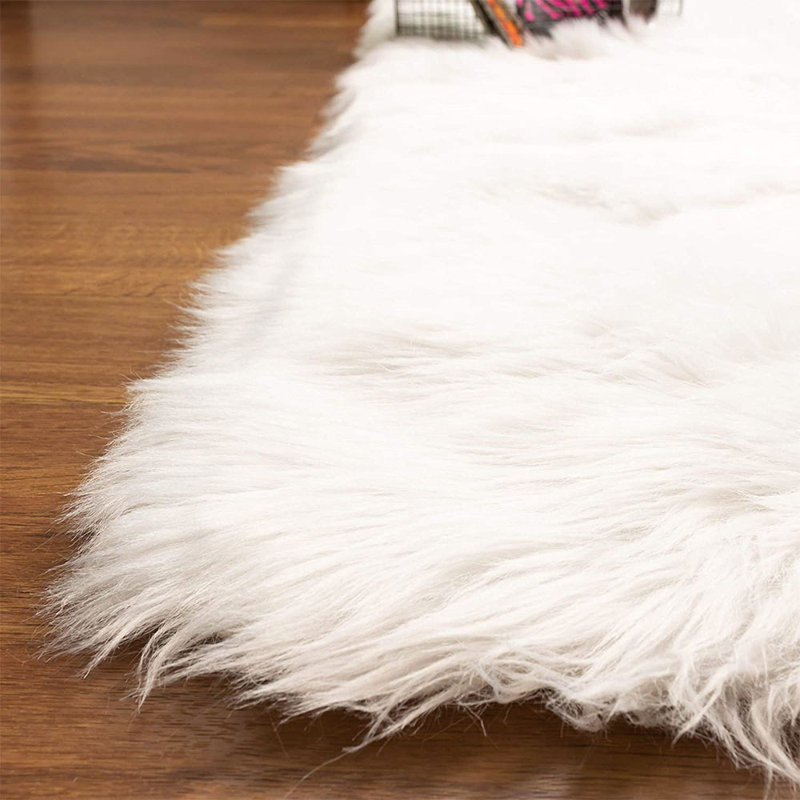 Indoor Rug