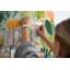 Ravensdale Cork Corkboard / Bulletin Board