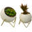 Ceramic Pot Planter-628593120