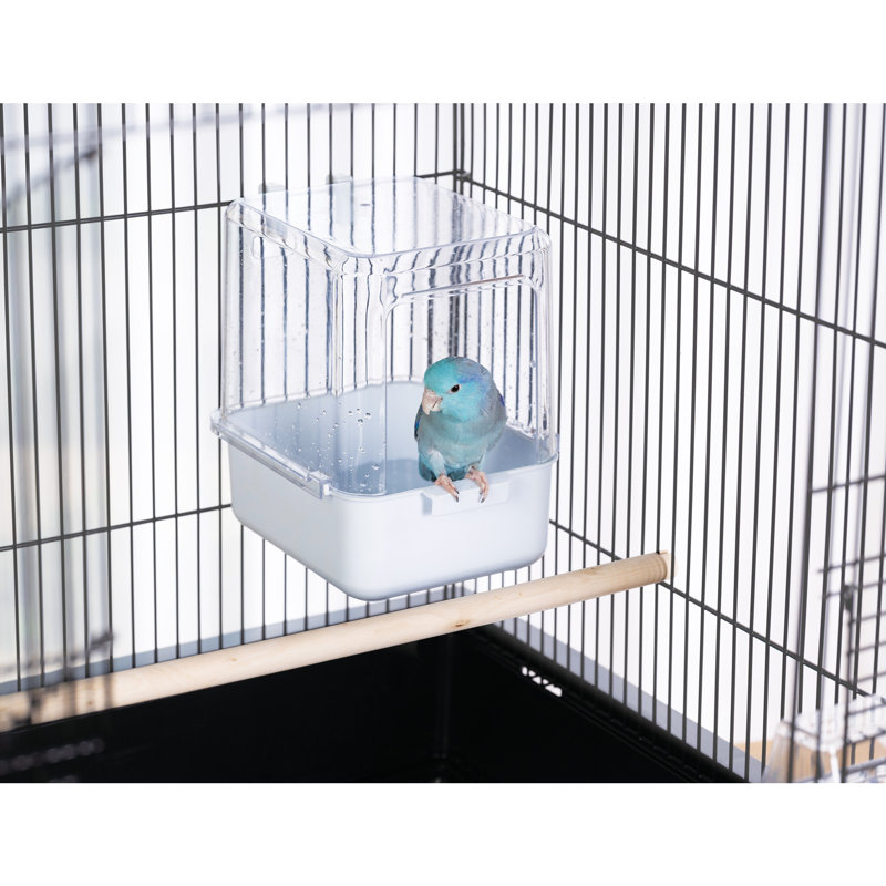 Bain d'oiseaux en plastique