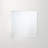 Daytona Mirror-594550310