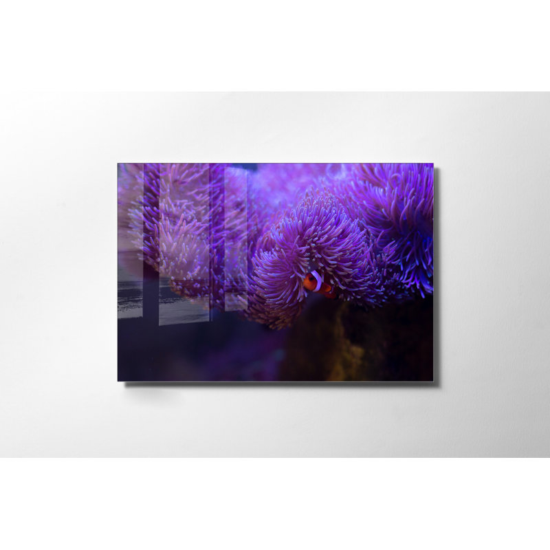 Verre 2, H 19,7 po x l 27,6 po x P 1 po