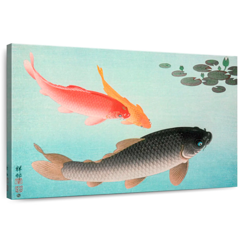 Common And Golden Carp, 16" H x 24" W