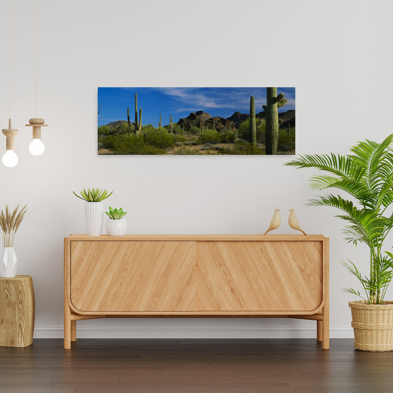 Cactus sur un paysage, désert de Sonora, orgue, cactus, Monument national, Arizona, États-Unis, H 12 po x l 36 po