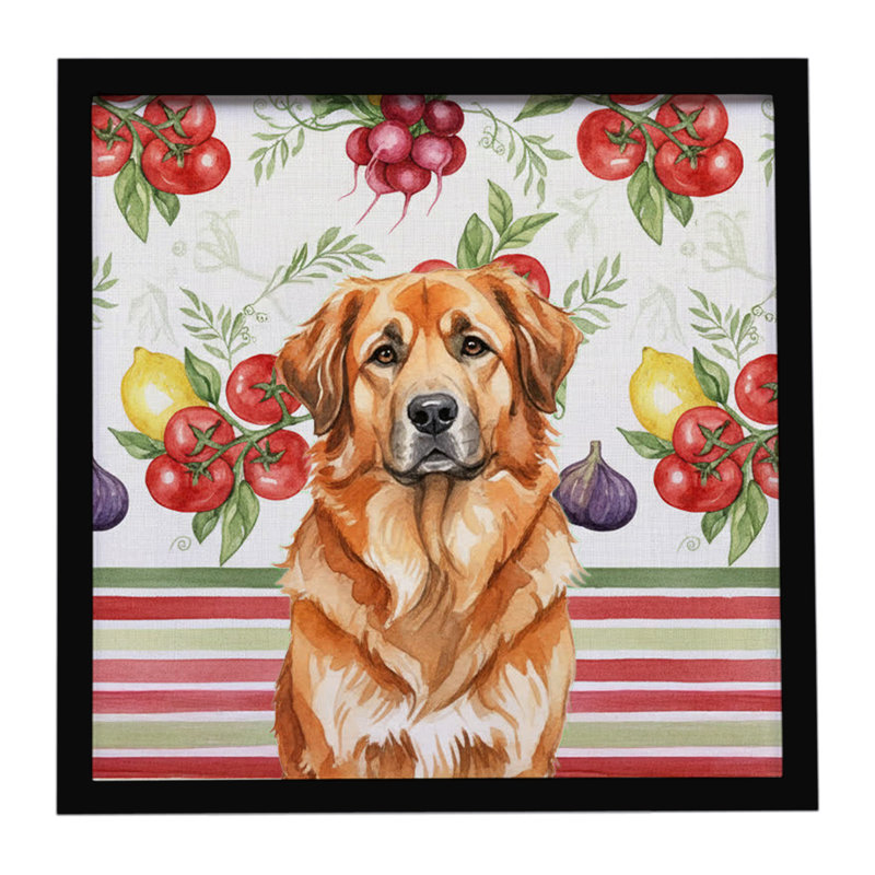 «Red Leonberger Légumes», impression sur métal encadrée, Rouge