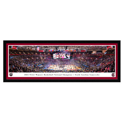 " 2024 NCAA Women's Basketball Champions - South Carolina " by James Blakeway