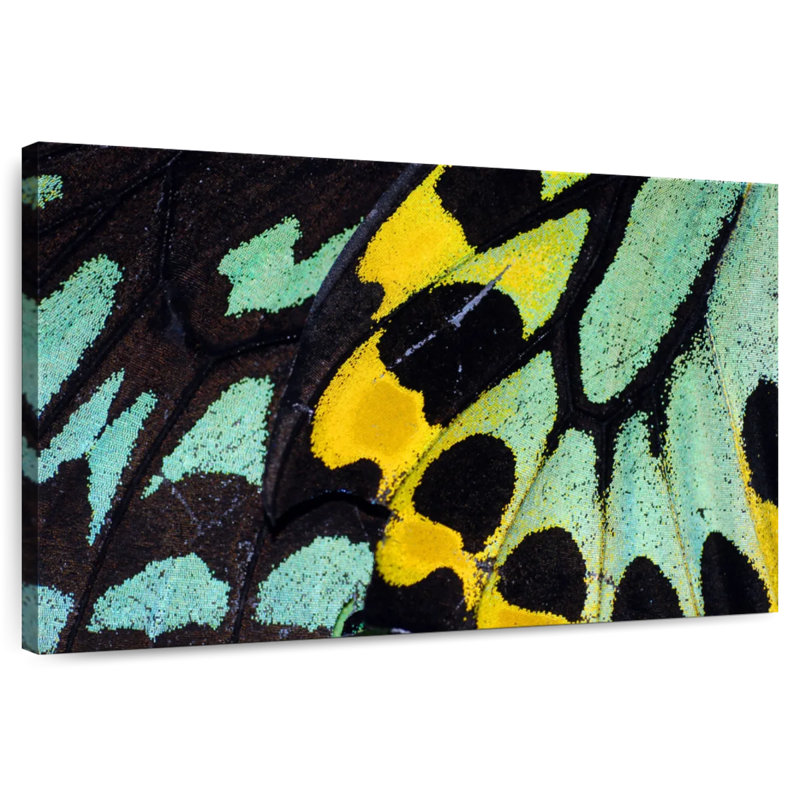 Brampt Mint Butterfly Wings