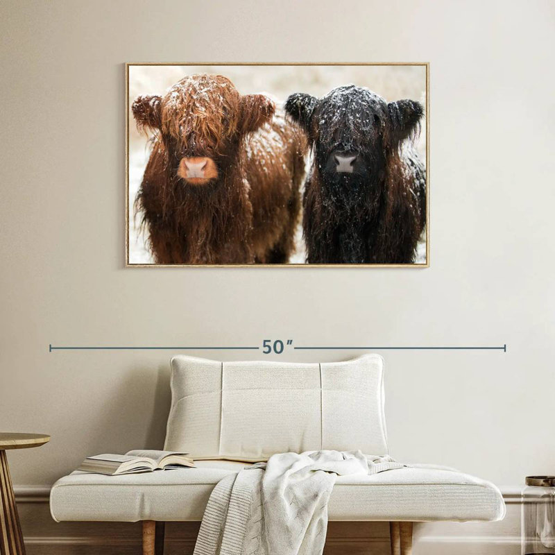 Poilu Highland Cows, Cadre flottant en bois naturel, 40 po x 27 po