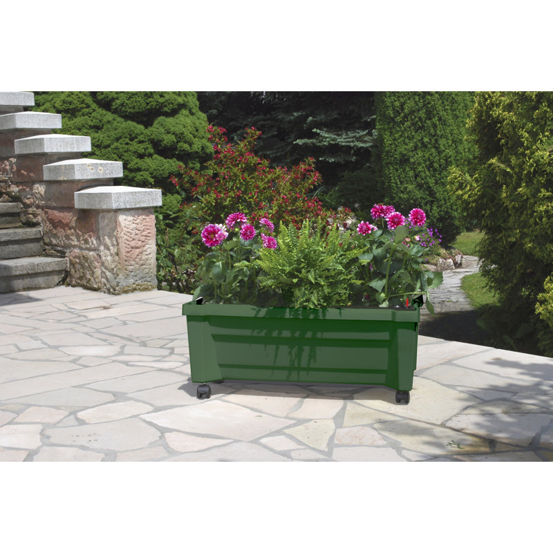 Self-Watering Planter Box, Green