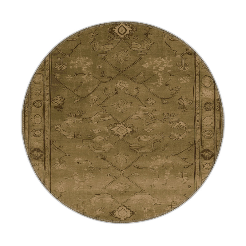 Overdyed Brown Indoor and Outdoor Area Rug, Rectangle 3' x 5'