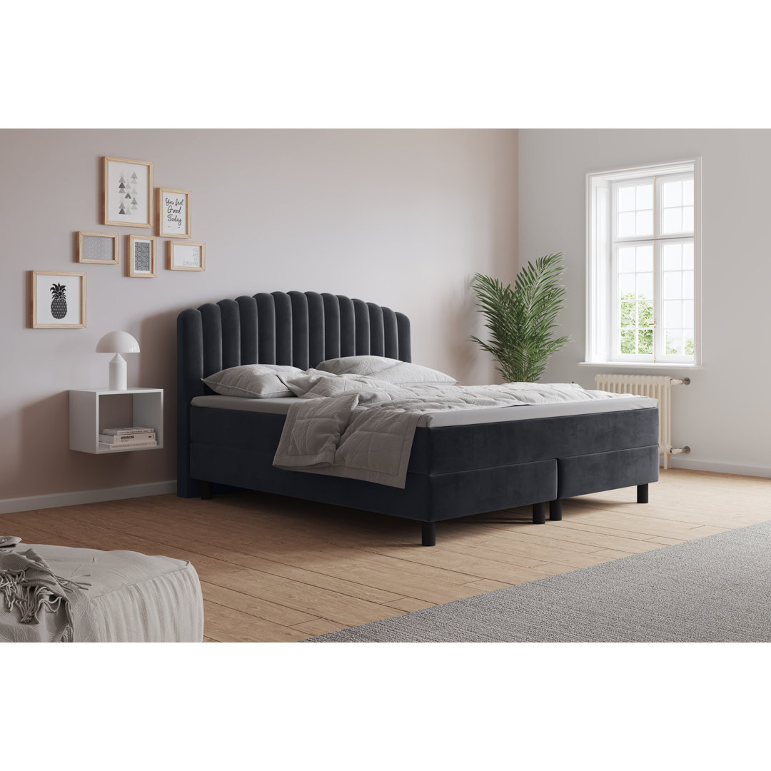 Boxspringbett Adinath mit Kaltschaum Topper, mit Samtstoff bezogen