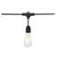 24Ft - LED String Light - 12 Vintage ST19 Bulbs Included - 120 Volts