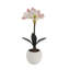 24 in. White and Pink Faux Amaryllis Bulb Arrangement in Round White Pot