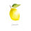 " Single Lemon " by Mercedes Lopez Charro