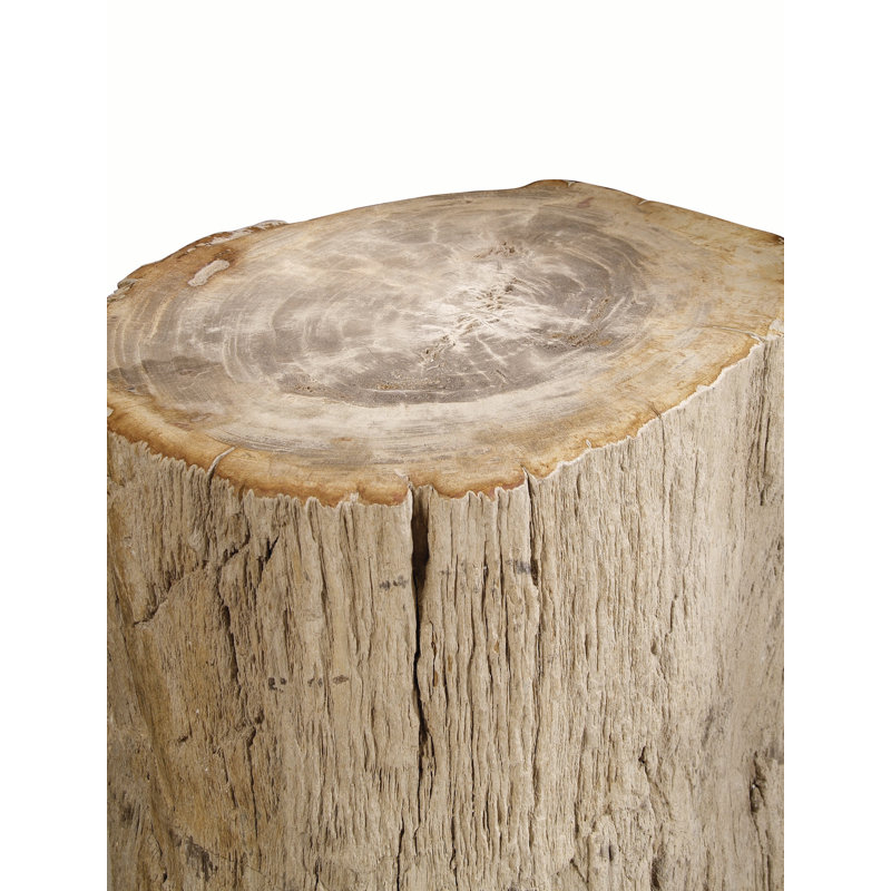 Petrified Solid Wood End Table