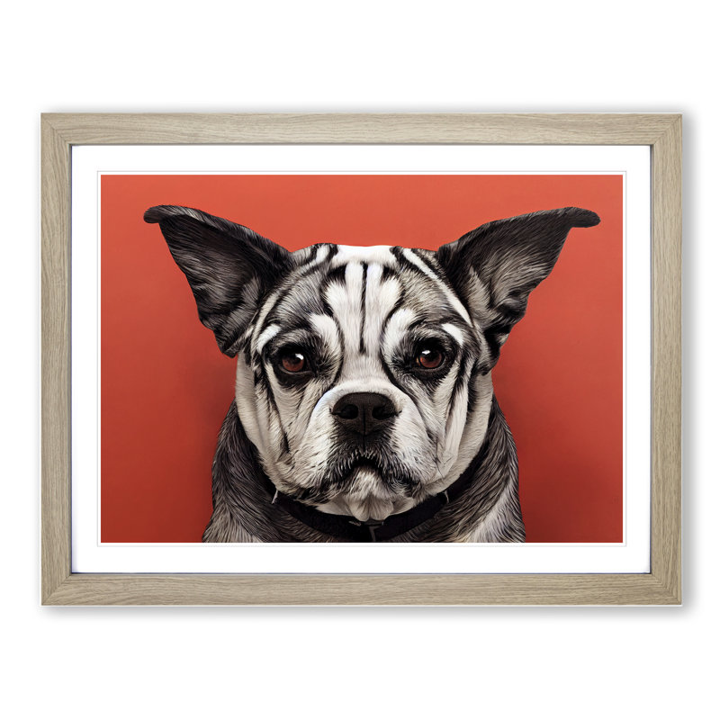 Dog Vol.5 - Single Picture Frame Print, 46cm H x 64cm W x 2cm D, Oak