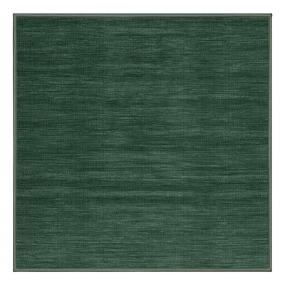 Machine Washable Solid Green Area Rug
