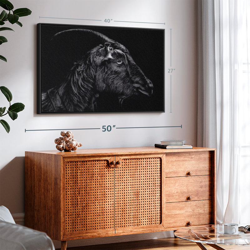 «Animal», impression sur toile «Chèvre cornue», H 27 po x l 40 po