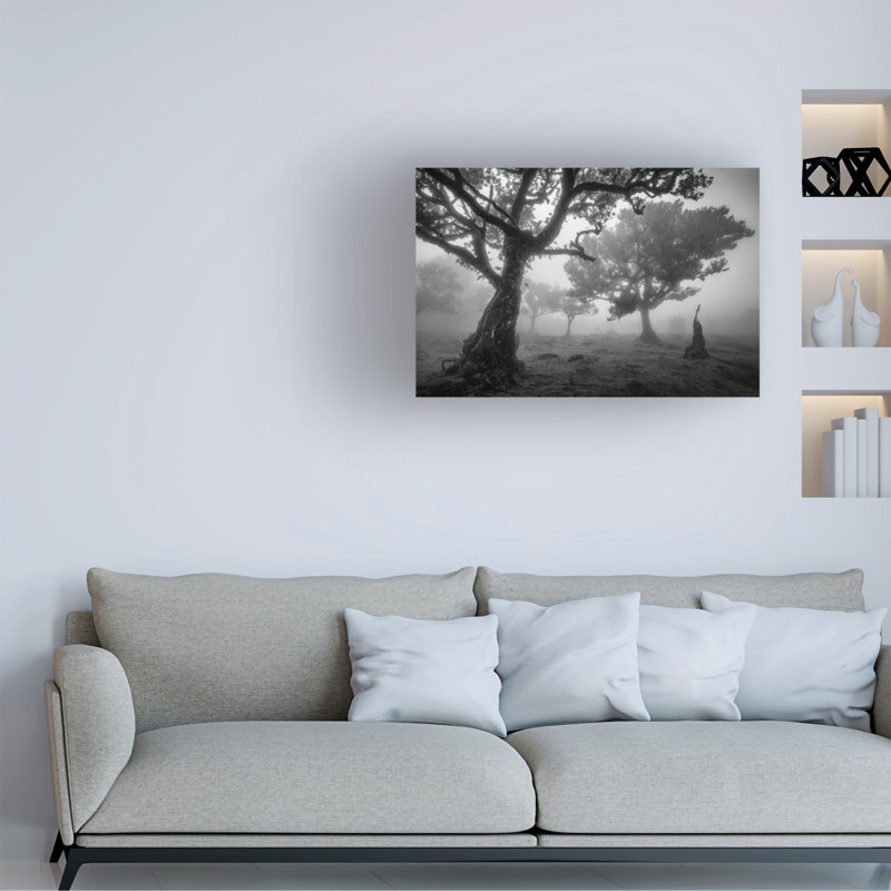 Istvan Nagy Tree Study 1 Canvas Art, H 12 po x l 19 po