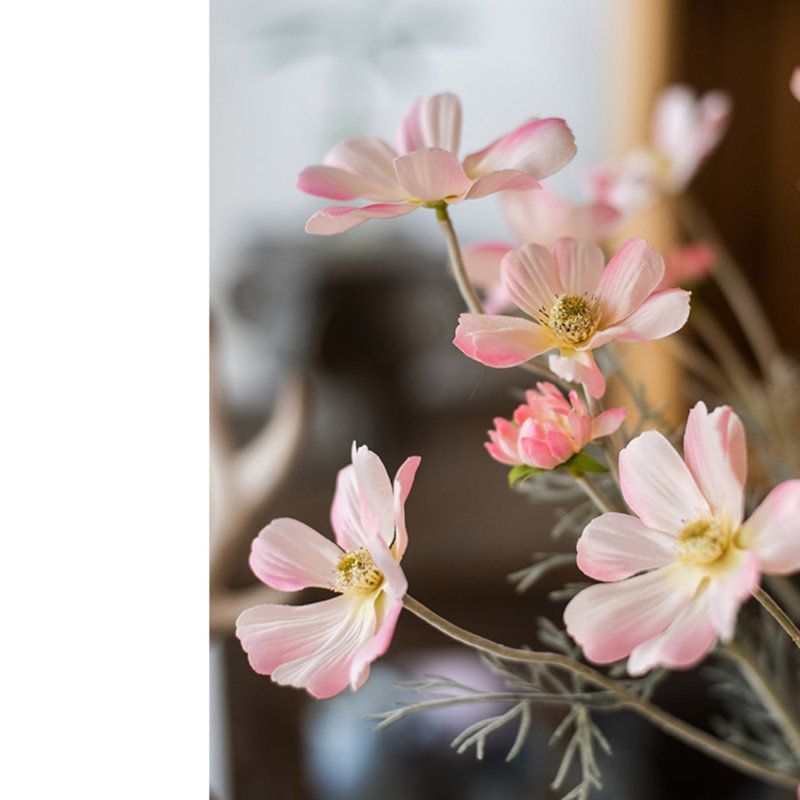 Cosmos Arrangement