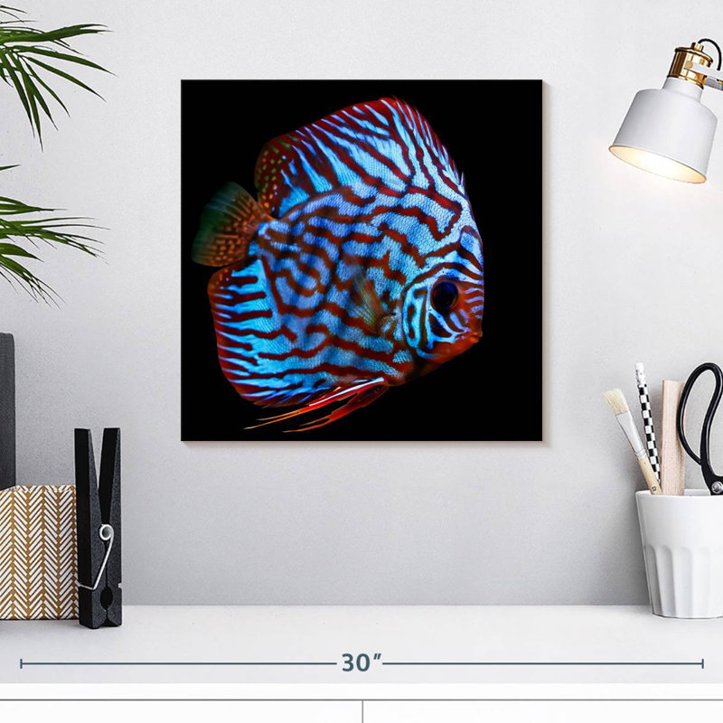 Poisson aquatique Brampt, H 16 po x l 16 po