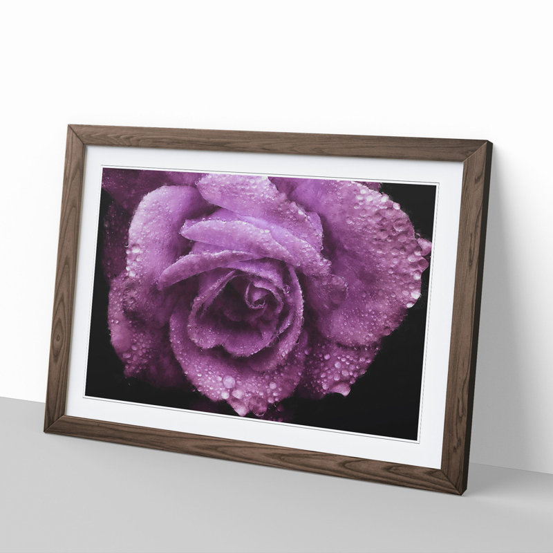 Purple Rose Flower Vol.1 - Framed Print, 27cm H x 36cm W x 2cm D, Walnut Framed