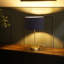 Dadiva Brushed Chrome Stem Table Lamp with Velvet Reni Shade-1570921146-1570921149-1570921140