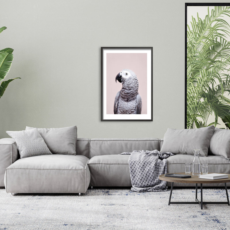 Nature Inspired African Gray by  - Picture Frame Photograph on Paper, 24" H x 16" W