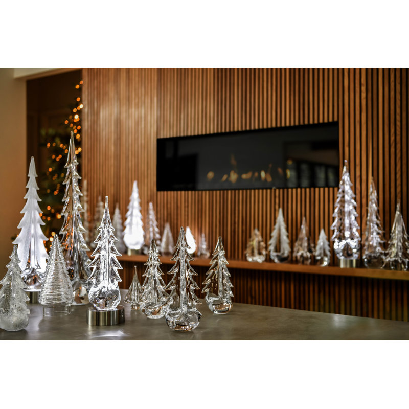 Silver Leaf Evergreen, 10 inch
