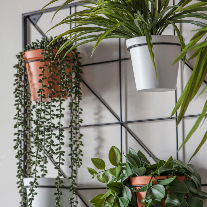 Wall Planter, White/Terracotta , 90cm H x 90cm W x 14.7cm D