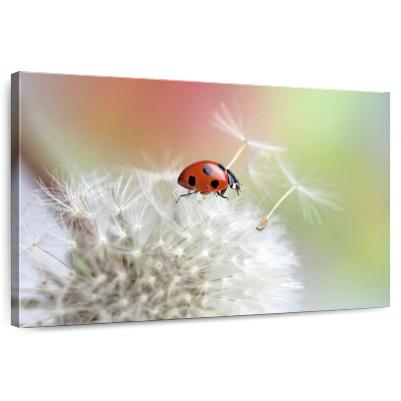 Harnek coccinelle sur pissenlit, H 32 po x l 48 po