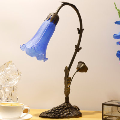 Ambania Metal Desk Lamp