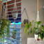 Cintres à plantes avec pots et soucoupes-1853934941
