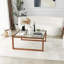 Flara Sled Coffee Table