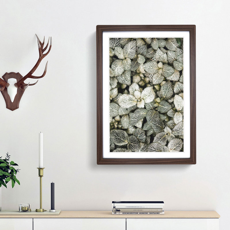 Plant Leaves Abstract - Single Picture Frame Print on MDF, Walnut Framed, 33cm H x 24cm W x 2cm D