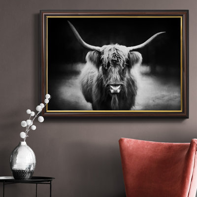 Photographie, étude, Highland, bovins, toile de qualité supérieure, prête à être accrochée