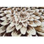 Tapis botanique Vidrine-123728775