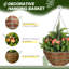 Outsunny Pack of 2 Hanging Basket Fake Flowers Realistic PE Rattan-525568311