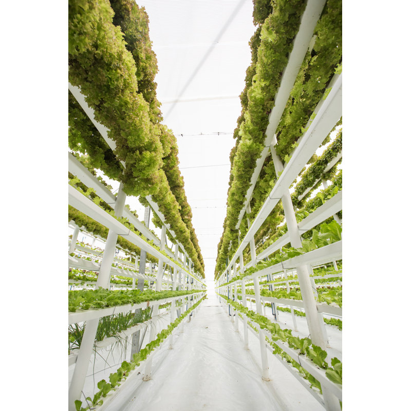 Vertical Hydroponic Farm by Louishiemstra, 12" H x 8" W