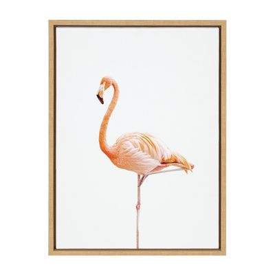 Flamingo Standing by Amy Peterson Framed Canvas Wall Art Print