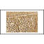 Table basse ovale-1138766496