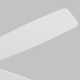 Lise 60'' 5 Blade Ceiling Fan with LED Light Kit