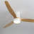 Kemp 52'' 3 -Blade LED Flush Mount Ceiling Fan with Remote Control and Light Kit Included-2092297802