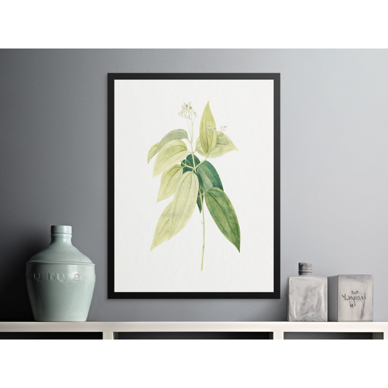 Comeau Single Picture Frame Print, 43.18 cm H x 27.94 cm W