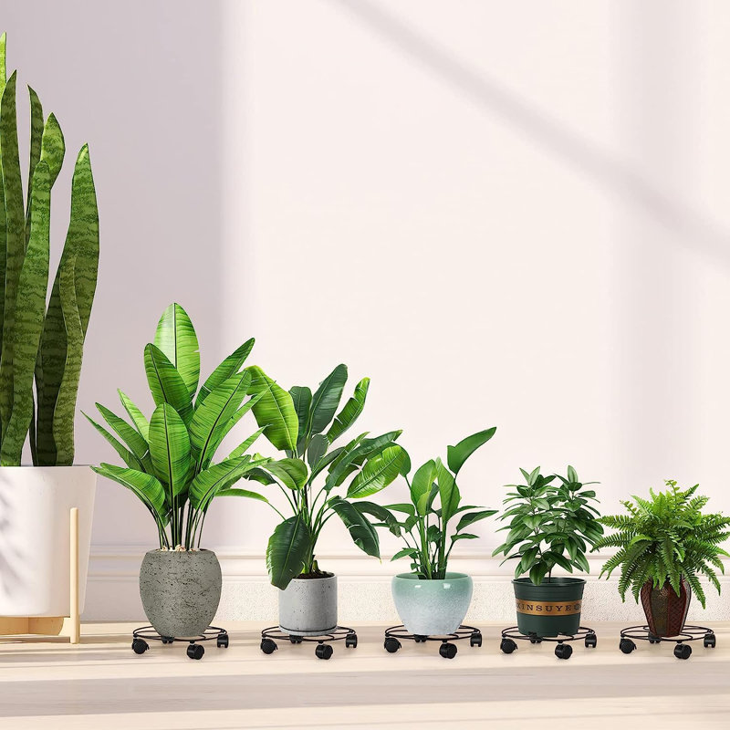 Support pour plante Chorlton