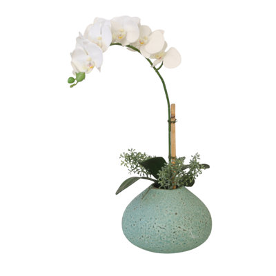 Orchidée Phalaenopsis blanche dans un vase turquoise
