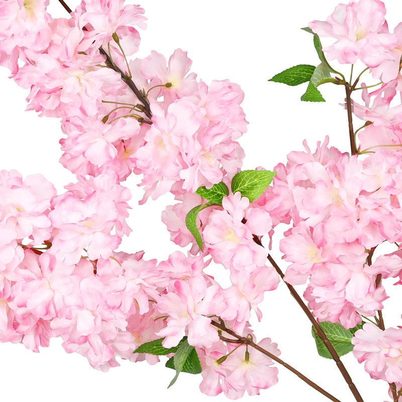 Jet de fleurs de cerisier, Rose