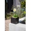 Geo Series Cube Planter-87239277-87184362