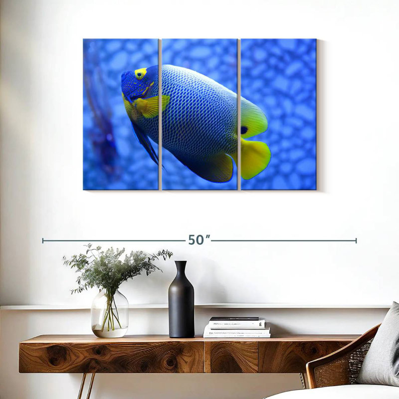 Angelfish bleu corail Brampt, H 24 po x l 38 po