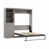 Gris platine
